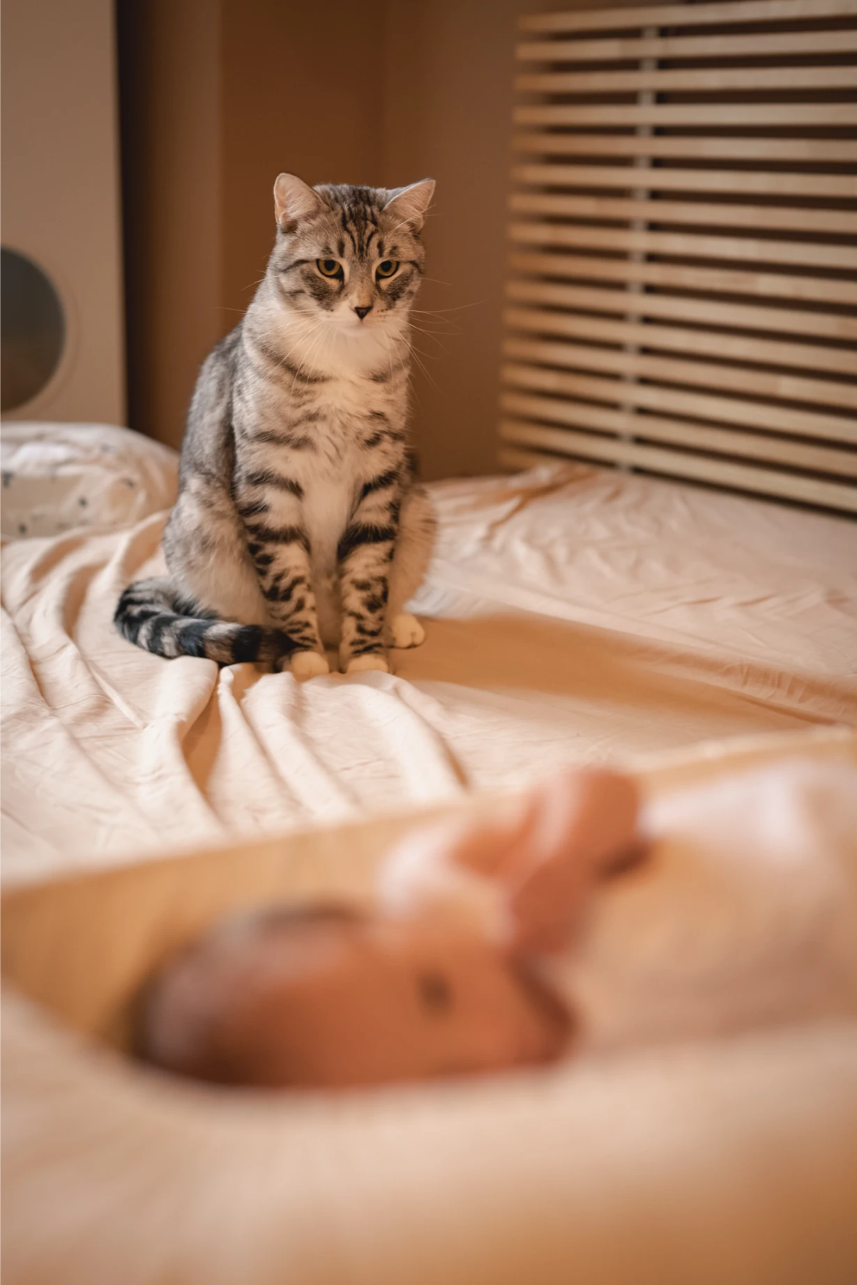 sesja noworodka - sesja rodzinna Agnieszka Lis - Migawka Fotografia Opole